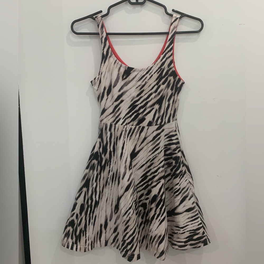 Express A-line Zebra print dress